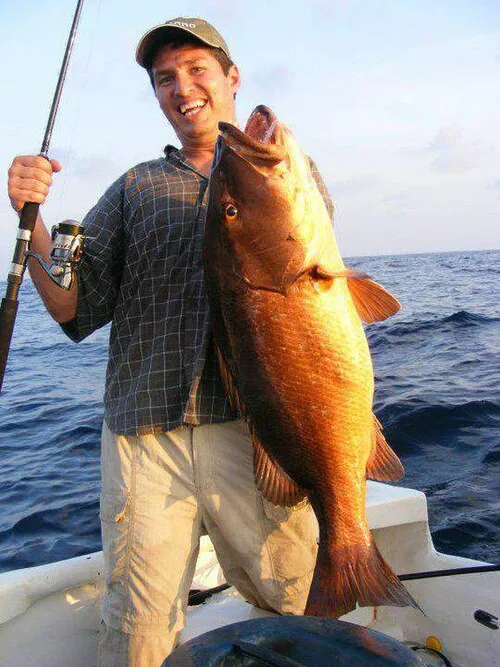 Prácticas De Pesca Ecológicas Pesca