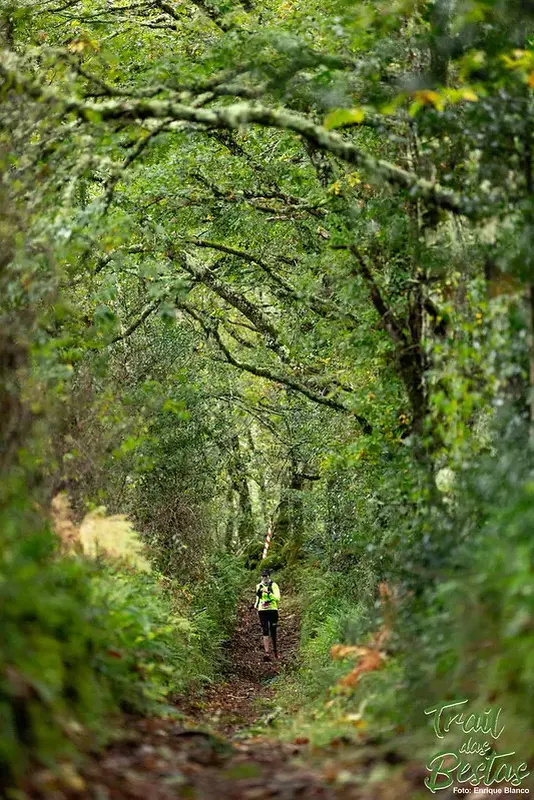 Trail Das Bestas 2025 Bosque 1