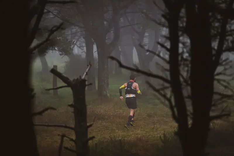 Trail Das Bestas 2025 Bosque