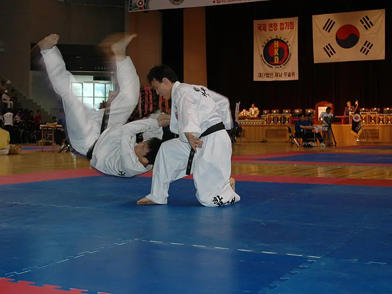Subcampeonato De EspaÑa De Hapkido Que Es